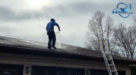 Consider soft washing your roof