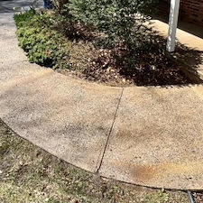 10 Important Tips for Pressure Washing Your Walkway in 2024?