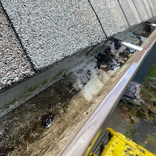 What Gutter Cleaning Should Cost You?