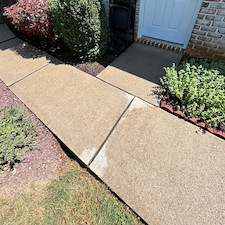 What Walkway Cleaning Should Cost You?