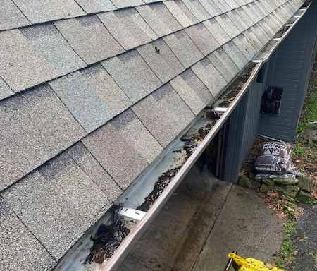 What gutter cleaning should cost