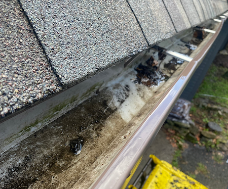 What gutter cleaning should cost