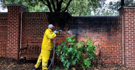 Why government and municipal buildings need pressure washing 002 min