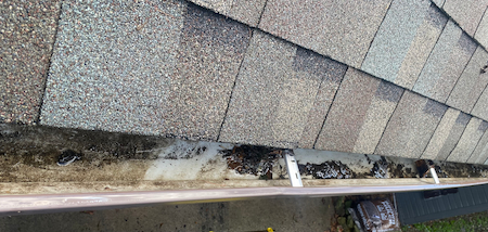 6 reasons lehigh valley homes need gutter cleaning