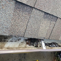 6 Reasons Lehigh Valley, PA Homes Need Gutter Cleaning